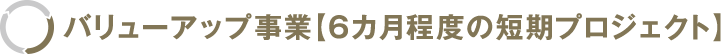 バリューアップ事業【6ヶ月程度の短期プロジェクト】