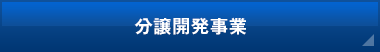 分譲開発事業